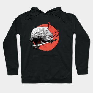 Sunset Samurai Grey Parrot Warrior Hoodie